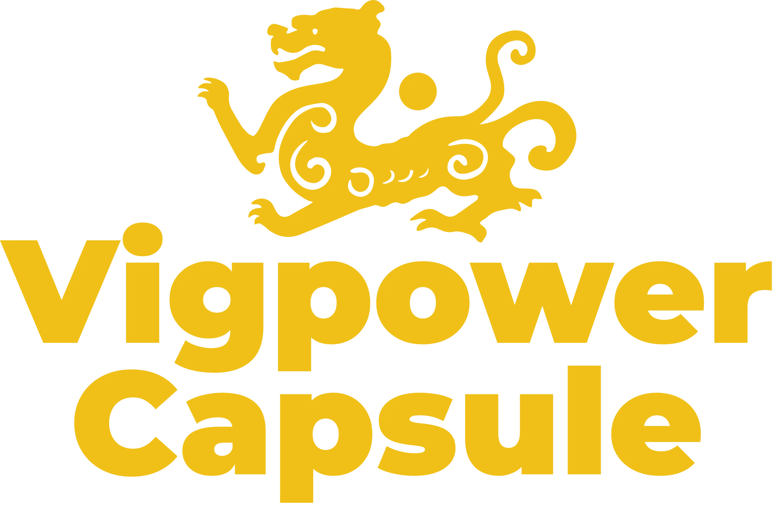 Vig Power Logo